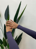 Plain Cotton Lycra Handsocks - Length 34cm